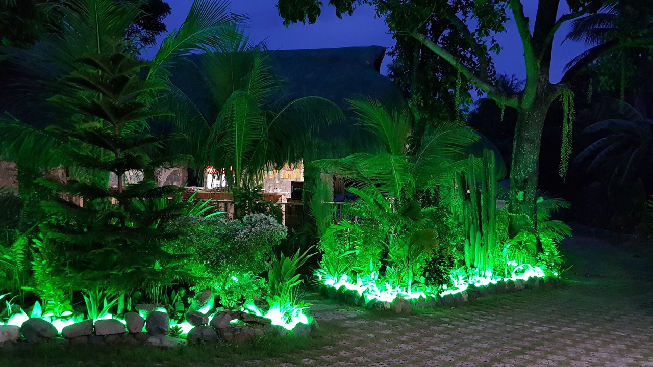 Photo of Outdoor in Looc