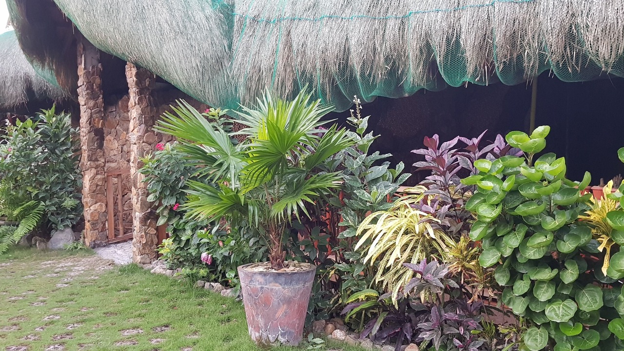 Photo of Outdoor in Looc