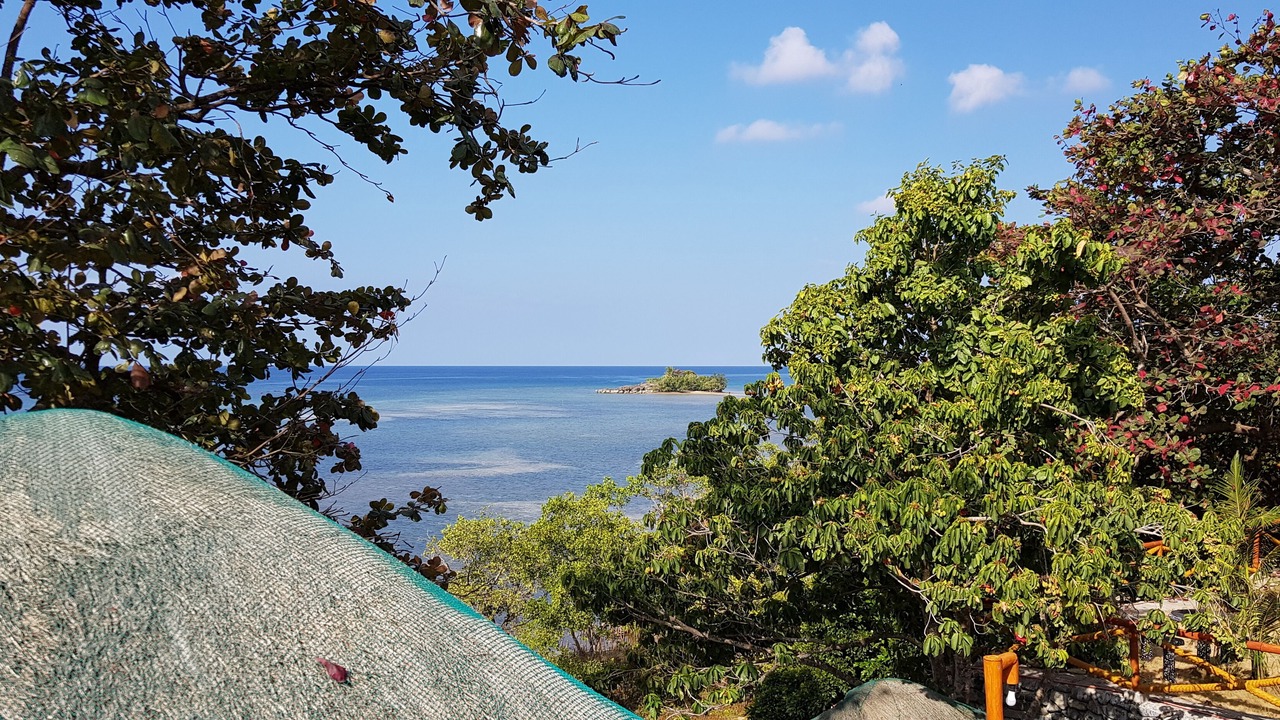 Photo of Outdoor in Looc
