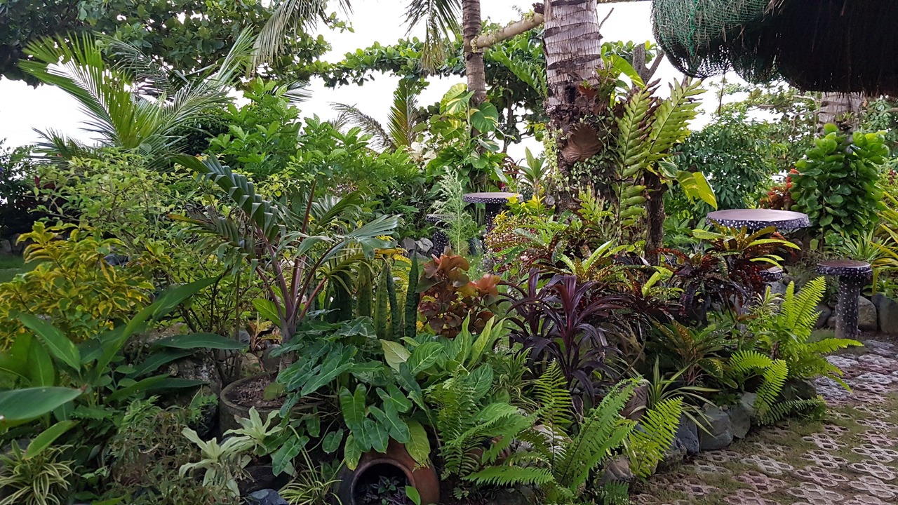 Photo of Outdoor in Looc