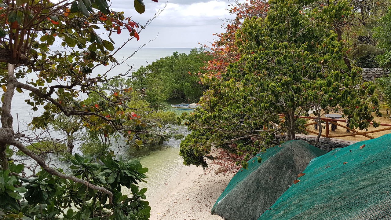 Photo of Outdoor in Looc