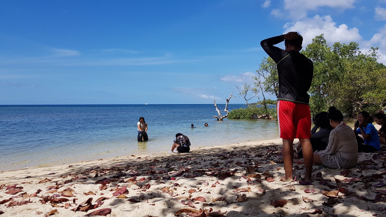 Photo of Others in Looc