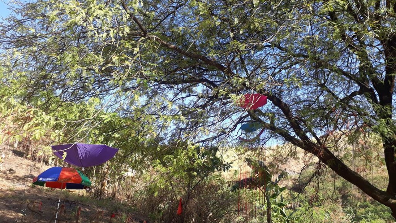 Photo of Outdoor in Angono