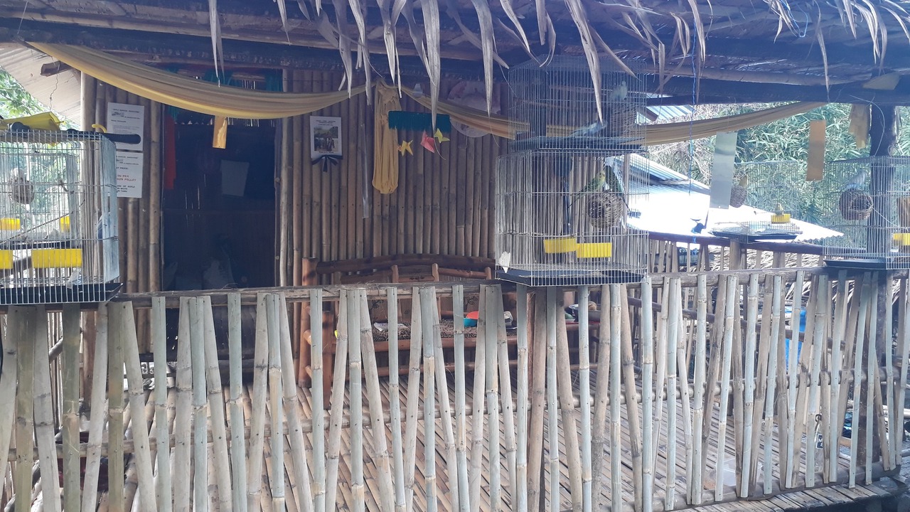 Photo of Others in Angono