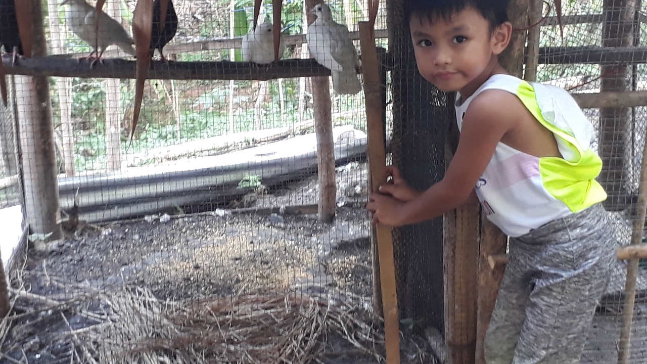 Photo of Others in Angono