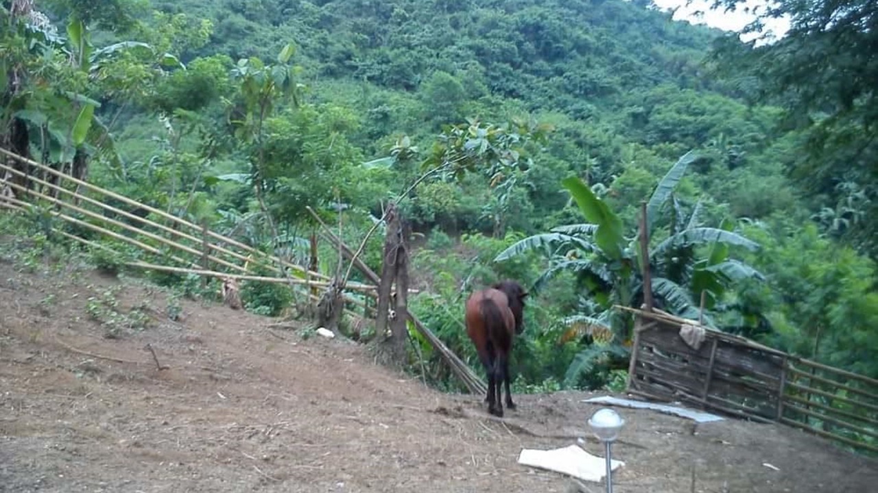 Photo of Outdoor in Angono