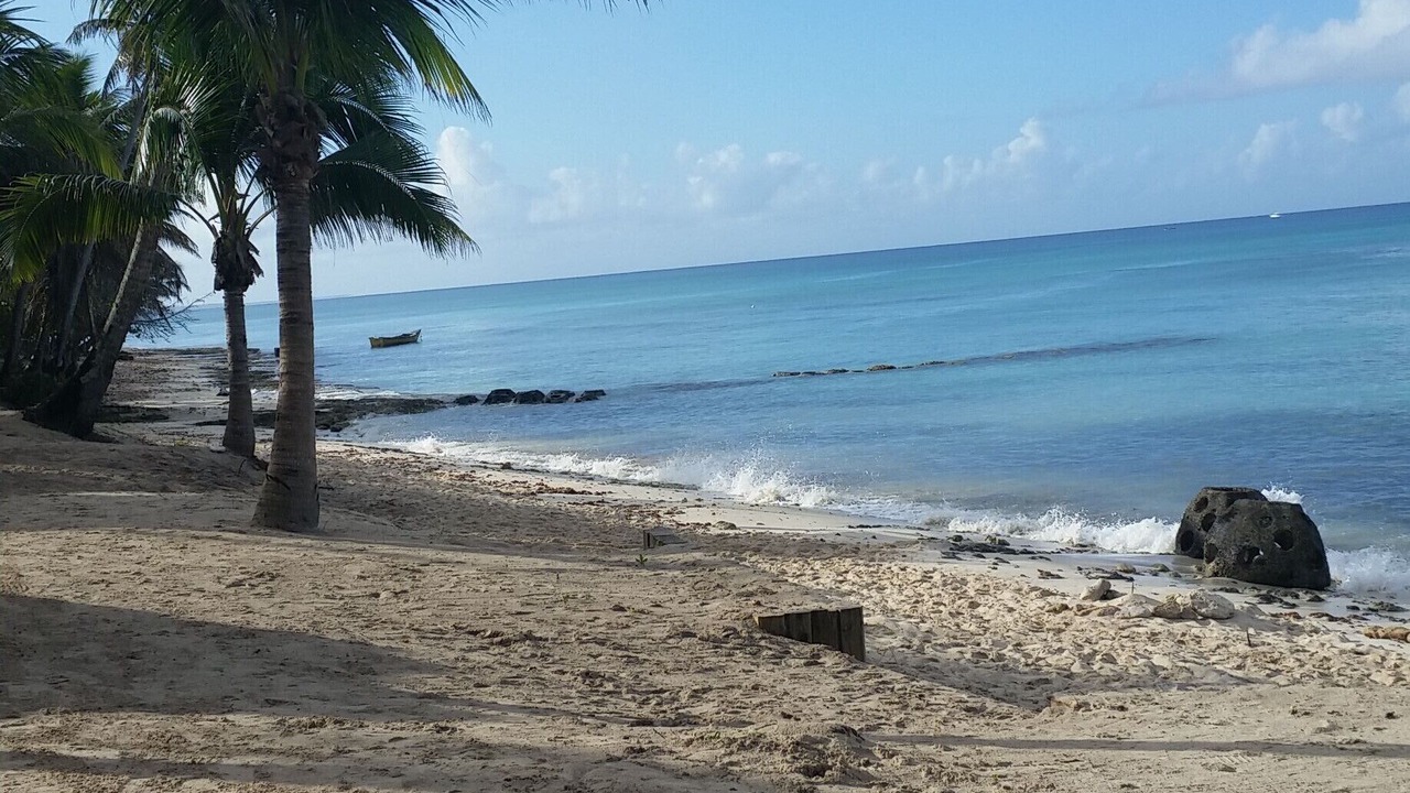 Photo of Others in Dominicus