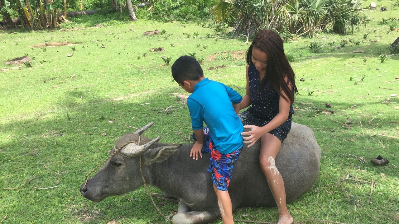 Photo of Outdoor in Mimaropa