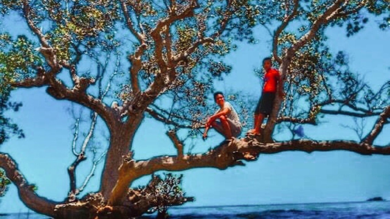 Photo of Others in Mimaropa