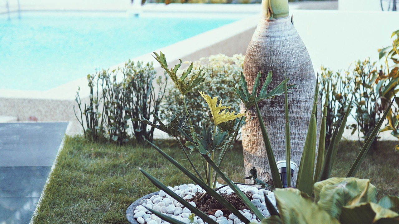 Photo of Outdoor in Panglao