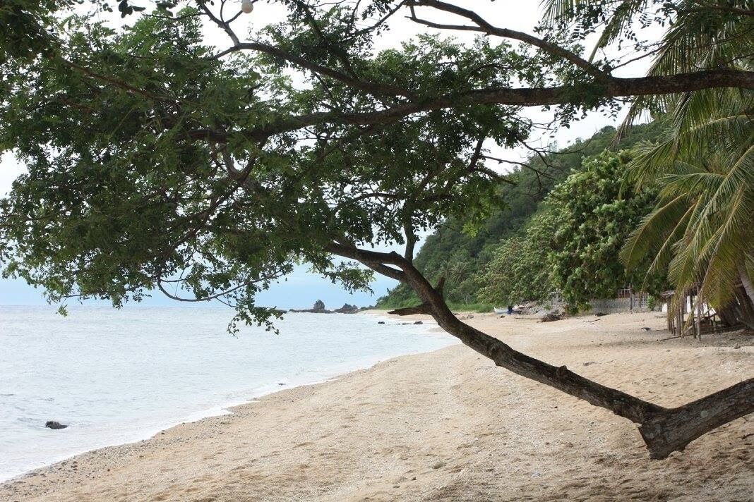 Photo of Others in Laiya