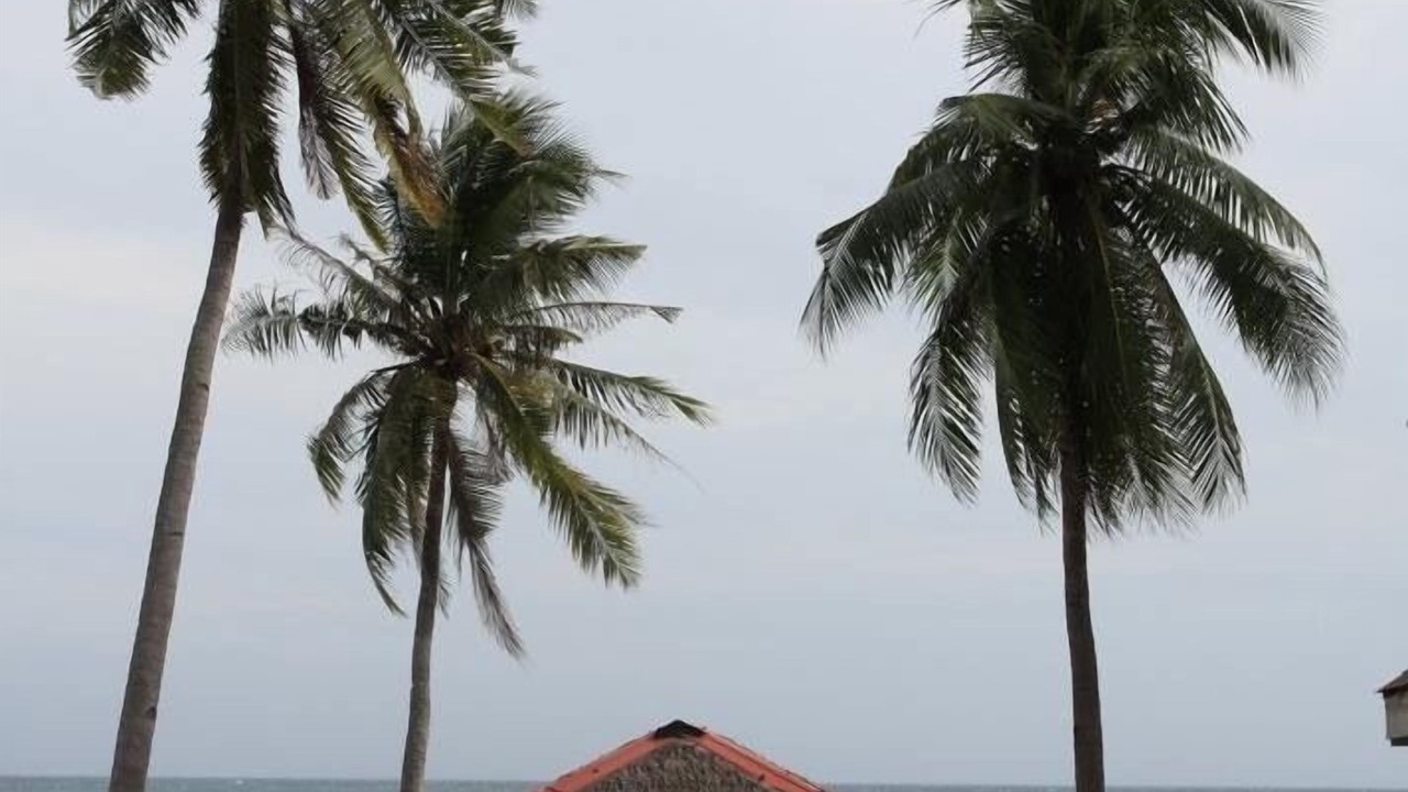 Photo of Outdoor in Laiya