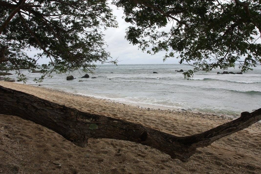 Photo of Others in Laiya