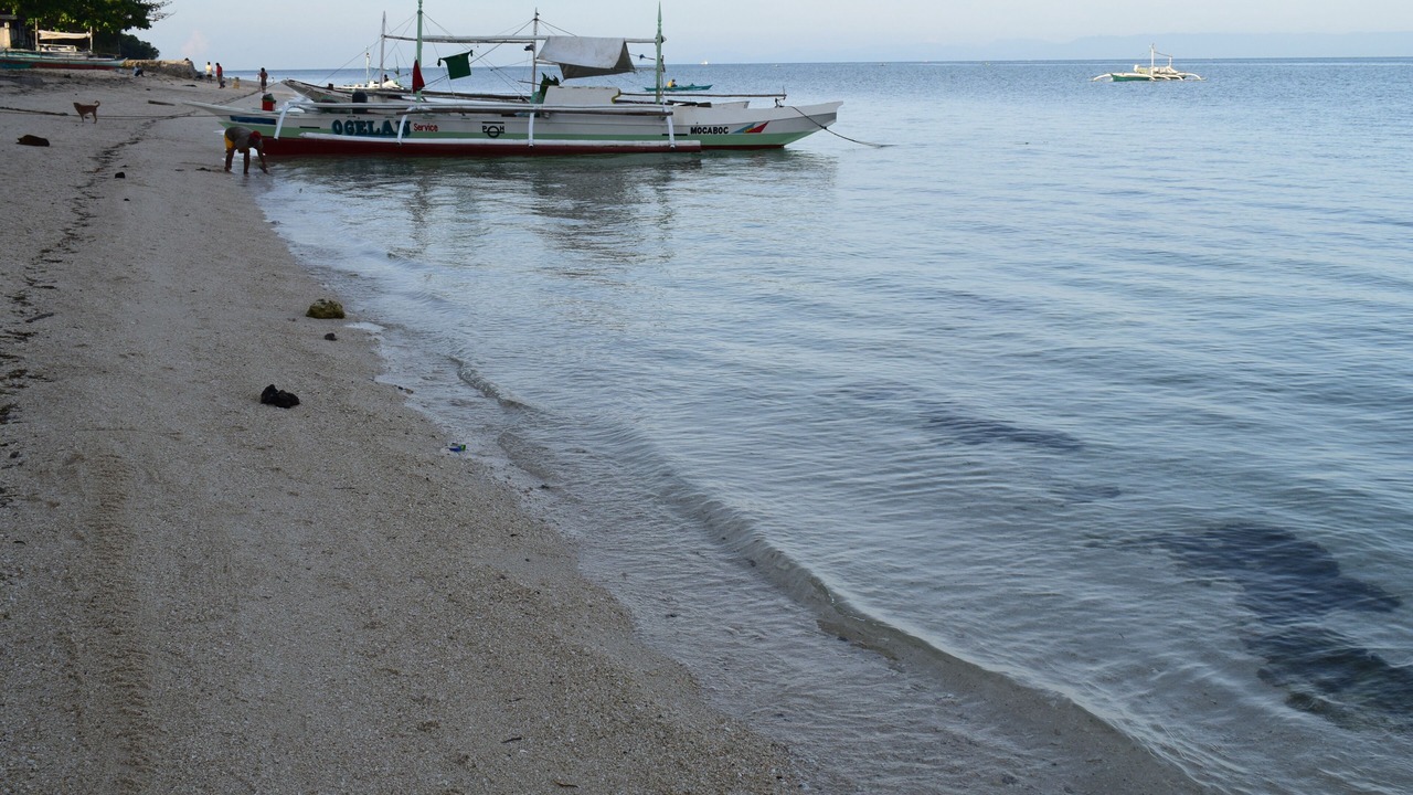 Photo of Others in San Francisco Island