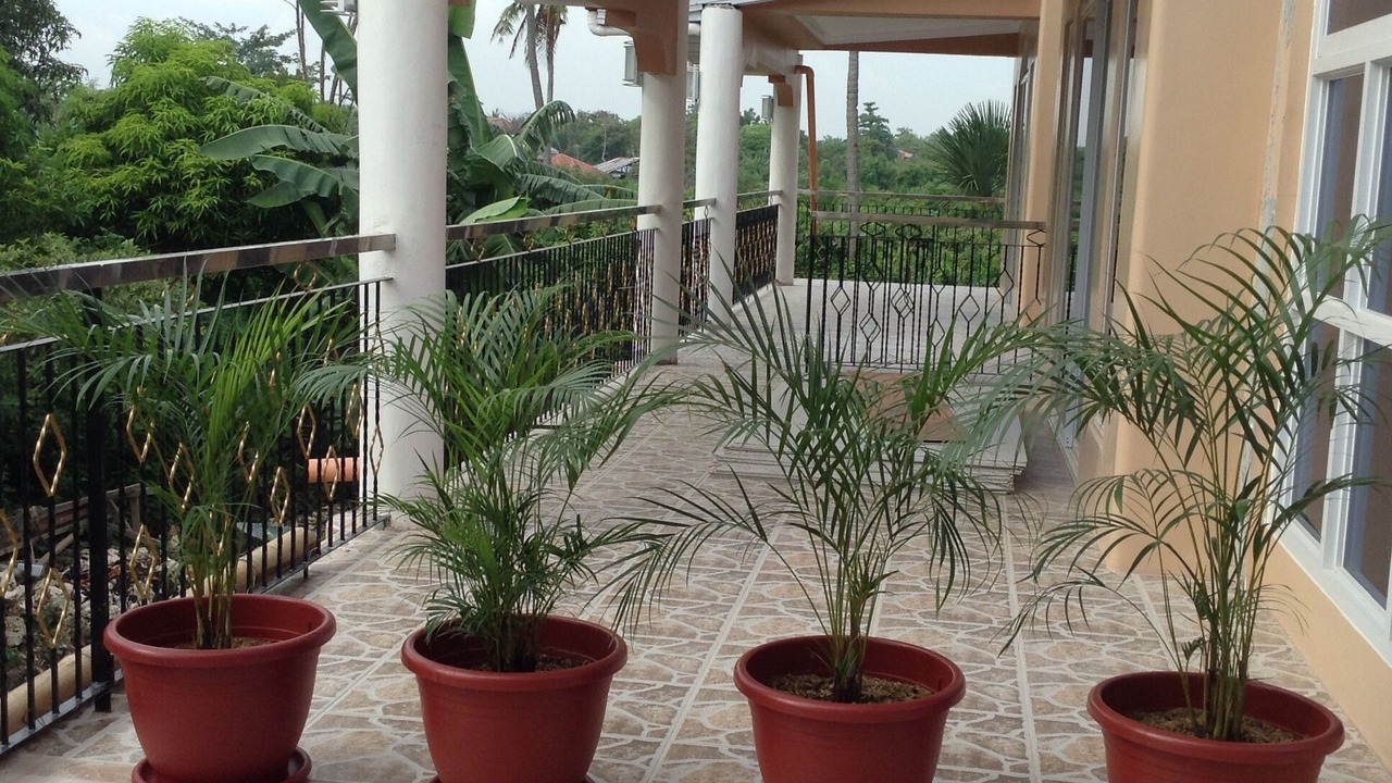 Photo of Patio Balcony in Cordova