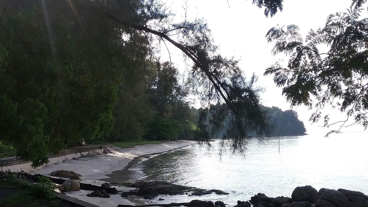 Photo of Others in Teluk Kumbar