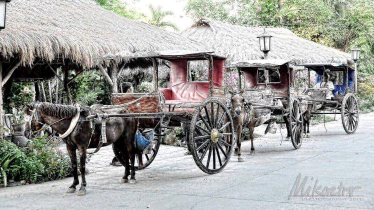 Photo of Others in Vigan