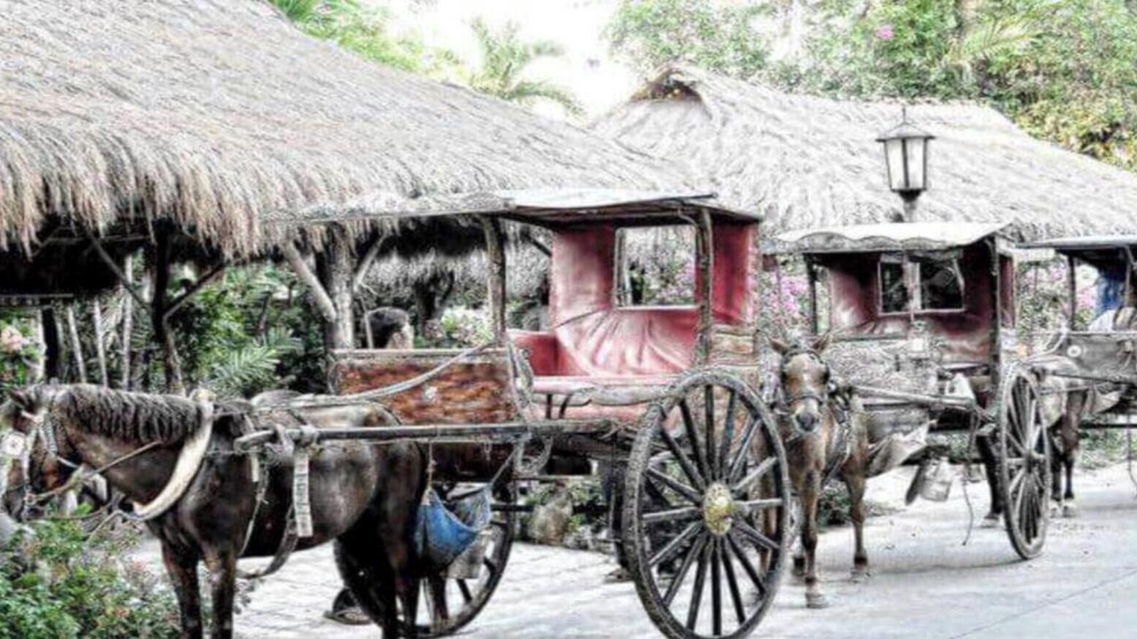 Photo of Others in Vigan