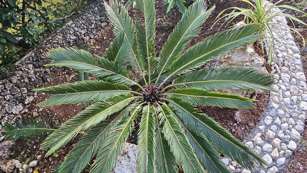 Photo of Outdoor in San Francisco Island