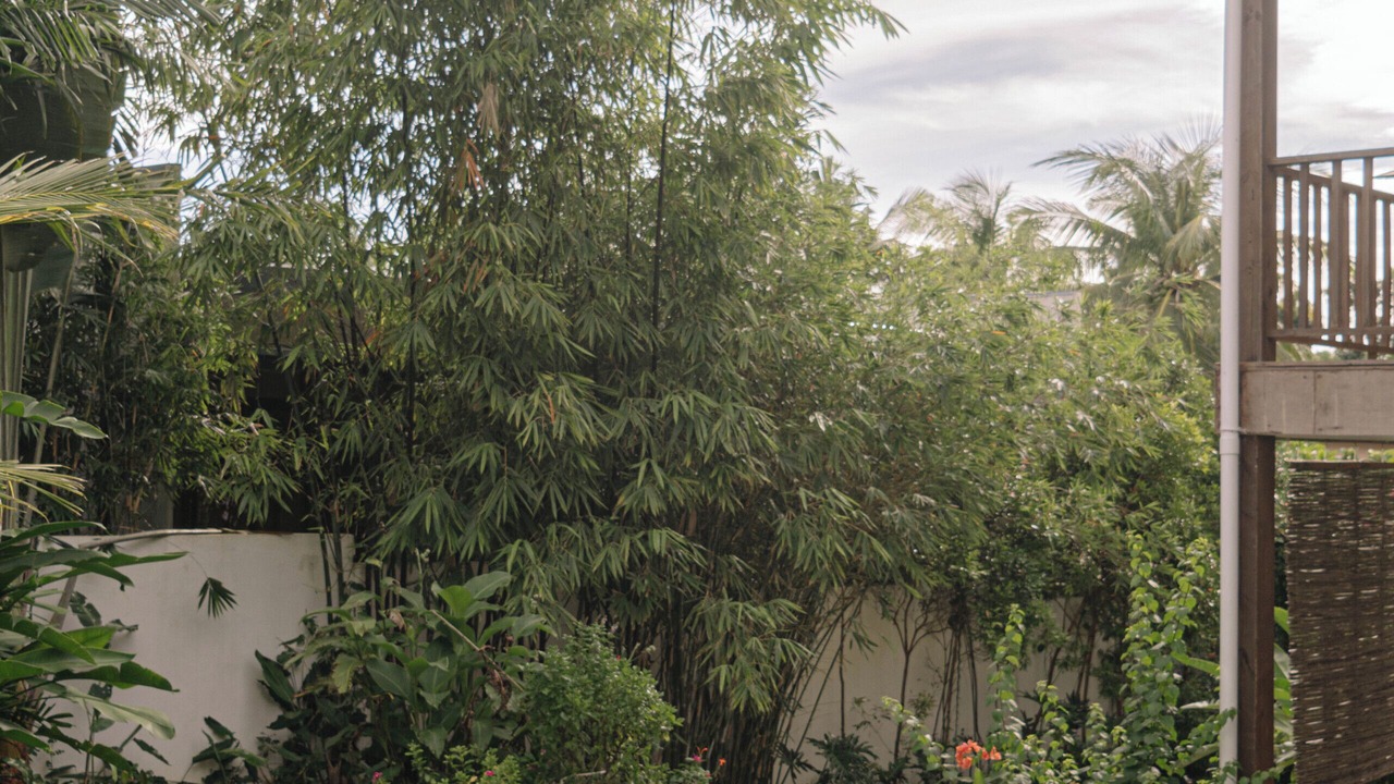 Photo of Outdoor in Dauis