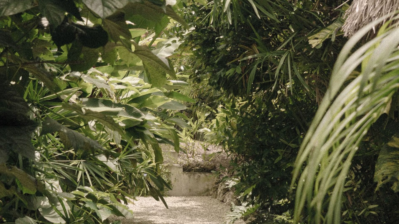 Photo of Outdoor in Dauis
