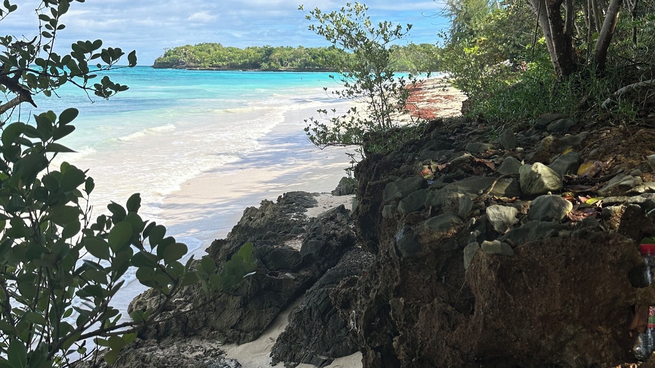 Photo of Others in Las Galeras