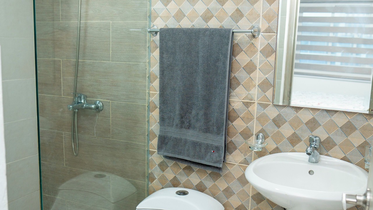 Photo of Bathroom in Moca