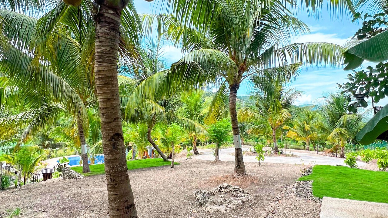 Photo of Outdoor in Alegria