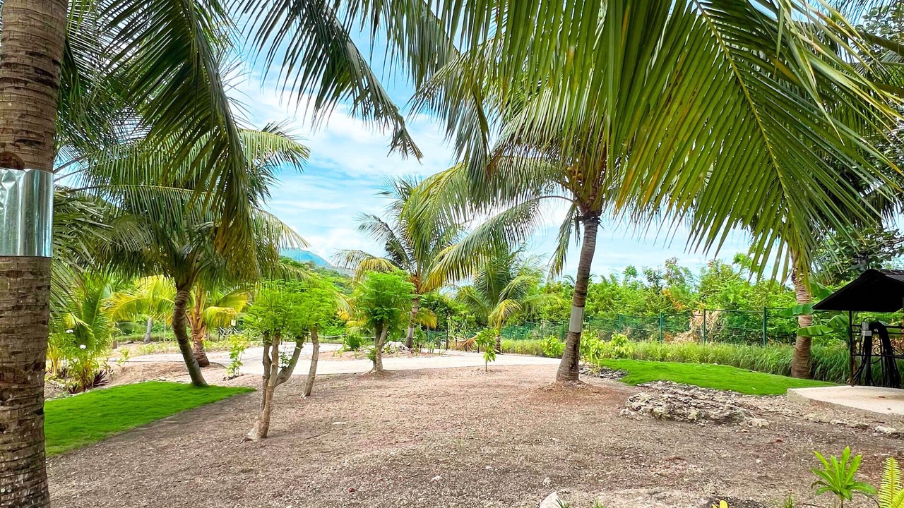Photo of Outdoor in Alegria