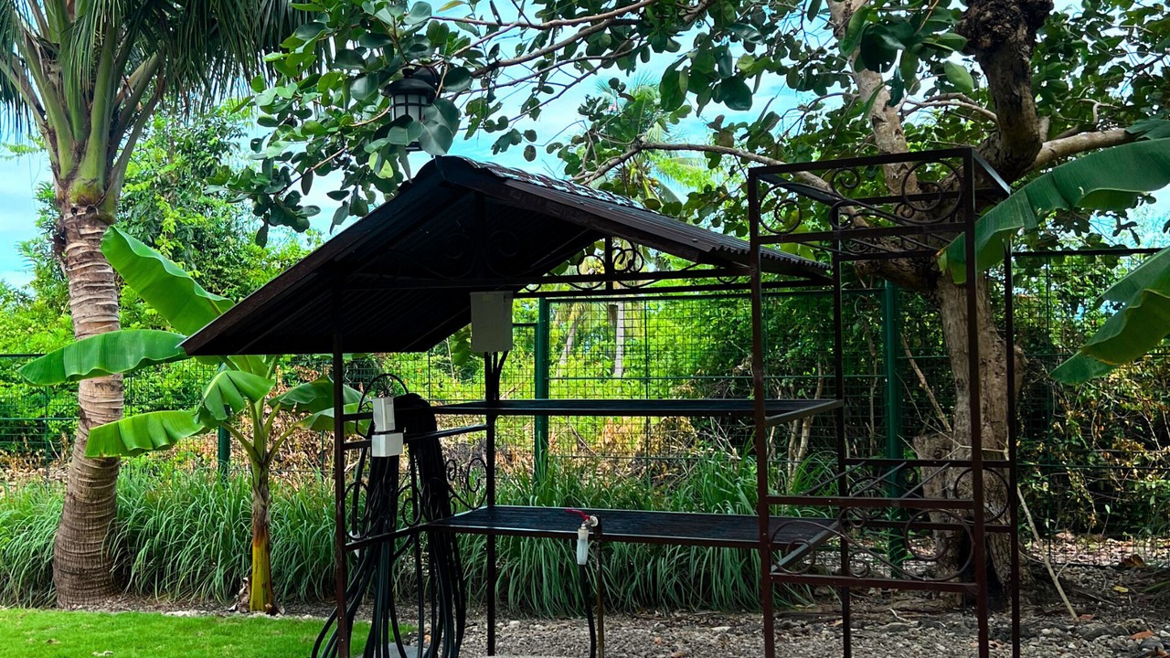 Photo of Outdoor in Alegria