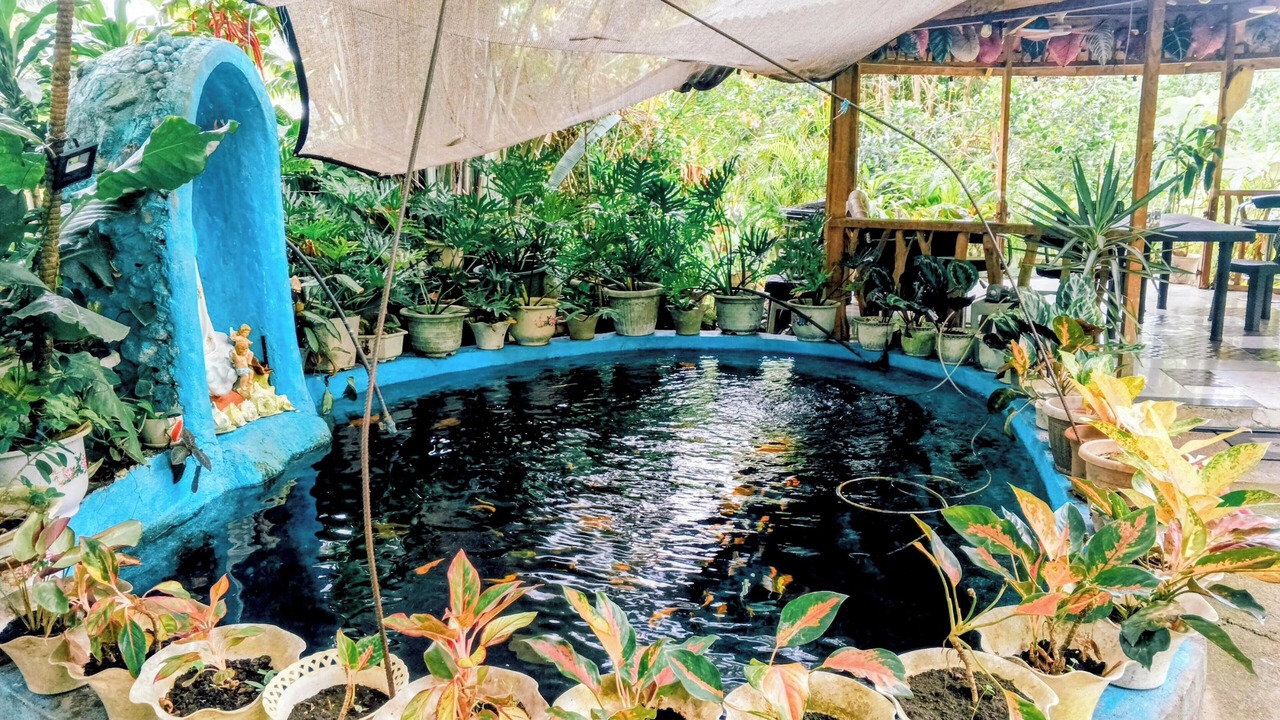 Photo of Outdoor in Mambajao