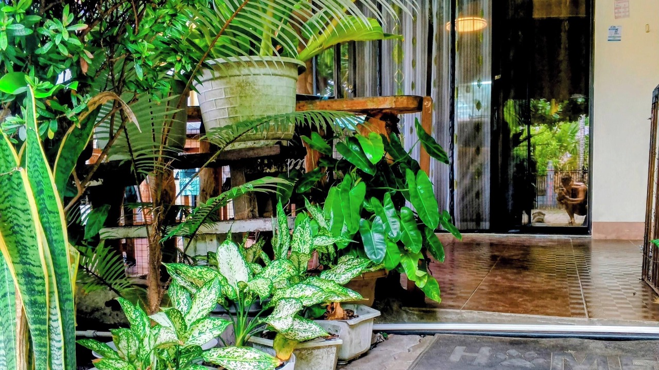 Photo of Outdoor in Mambajao