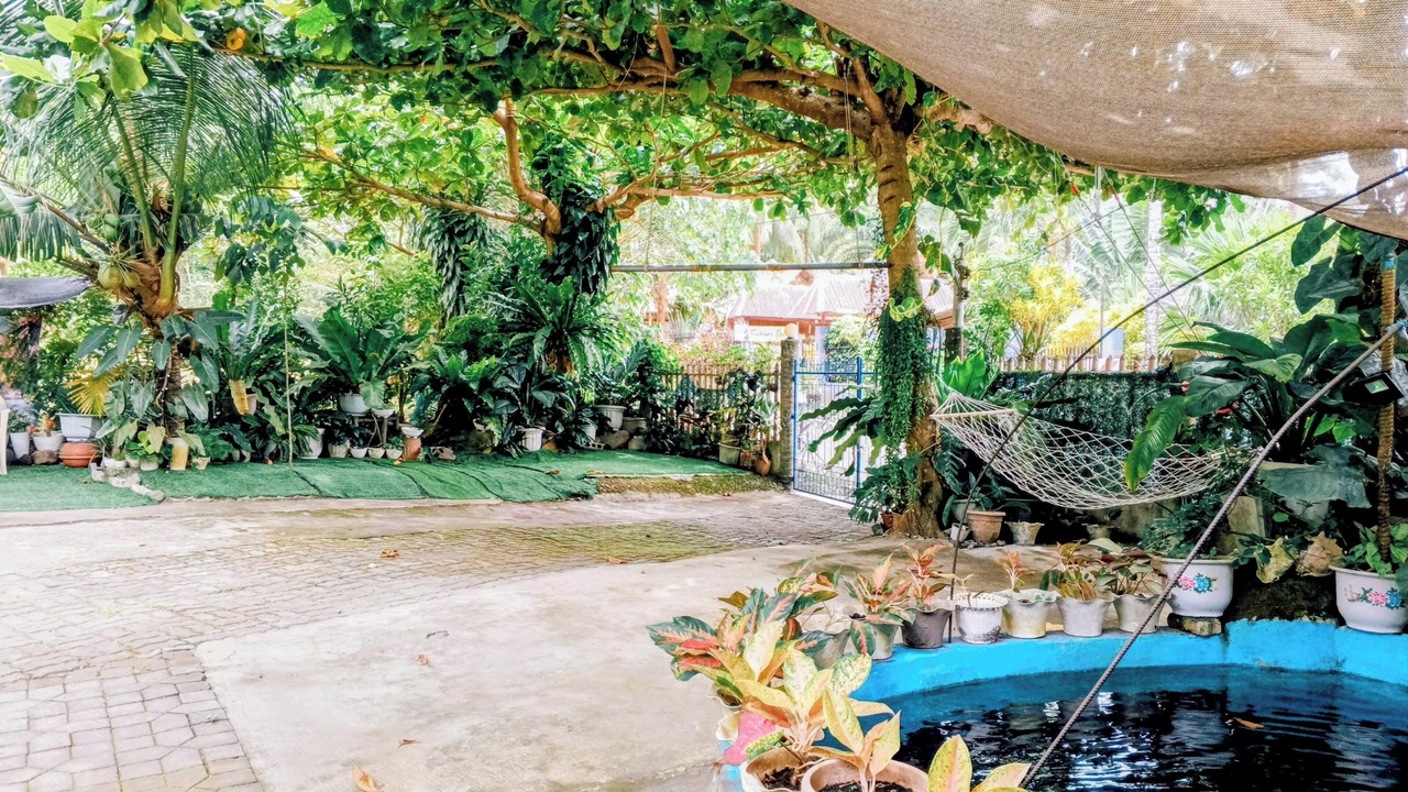 Photo of Outdoor in Mambajao