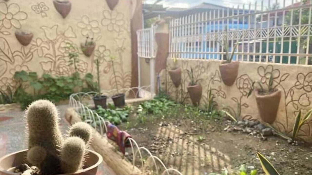 Photo of Outdoor in Cabanatuan