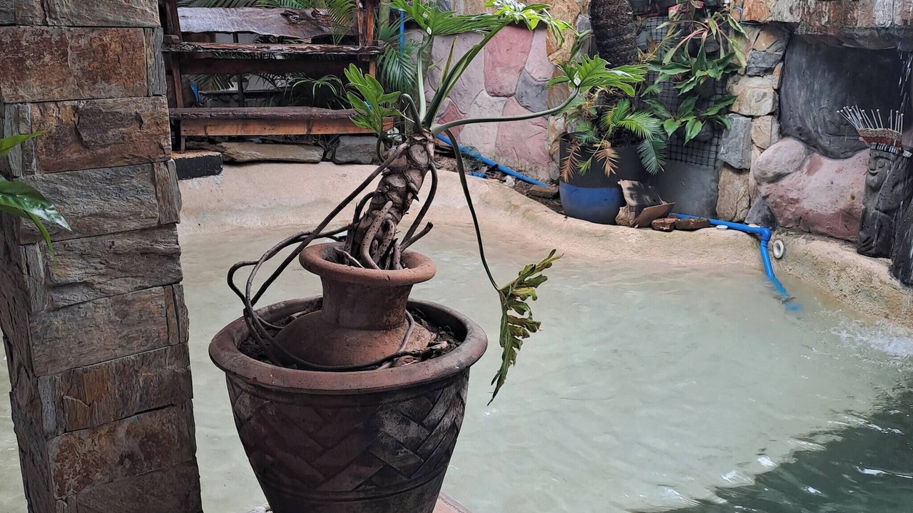 Photo of Outdoor in Anilao