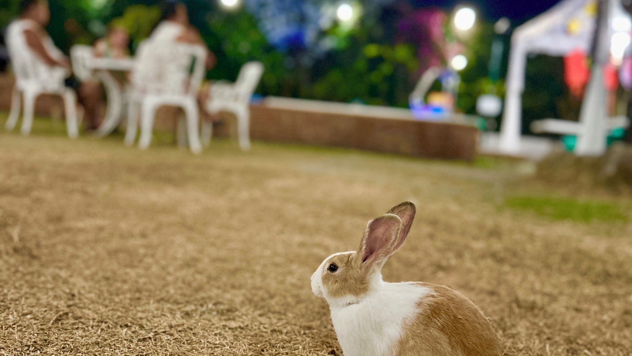 Photo of Outdoor in Santa Rosa