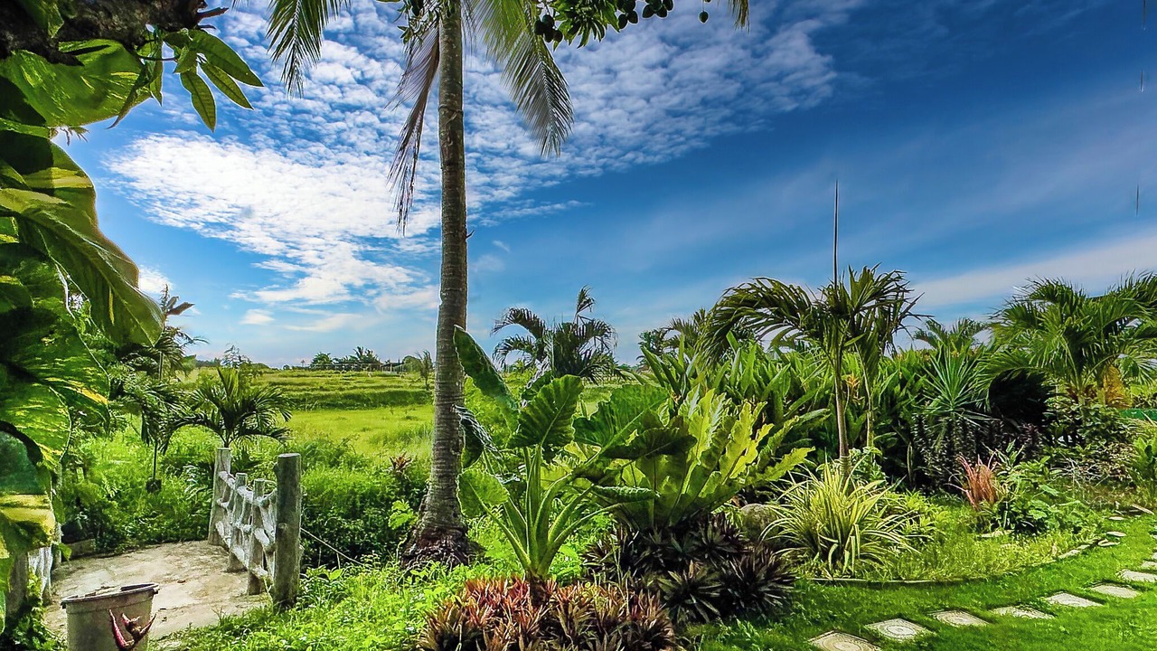 Photo of Outdoor in San Fernando