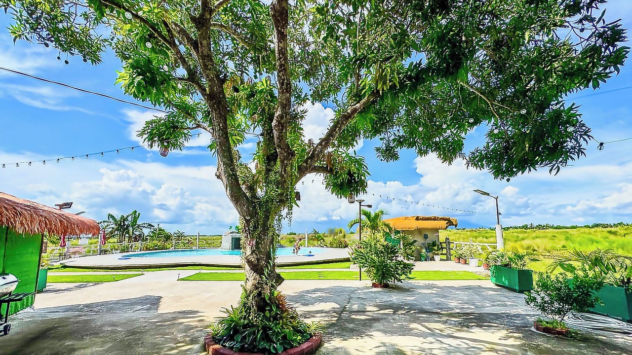 Photo of Outdoor in San Fernando