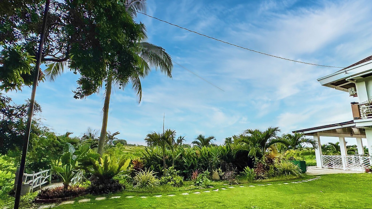 Photo of Outdoor in San Fernando