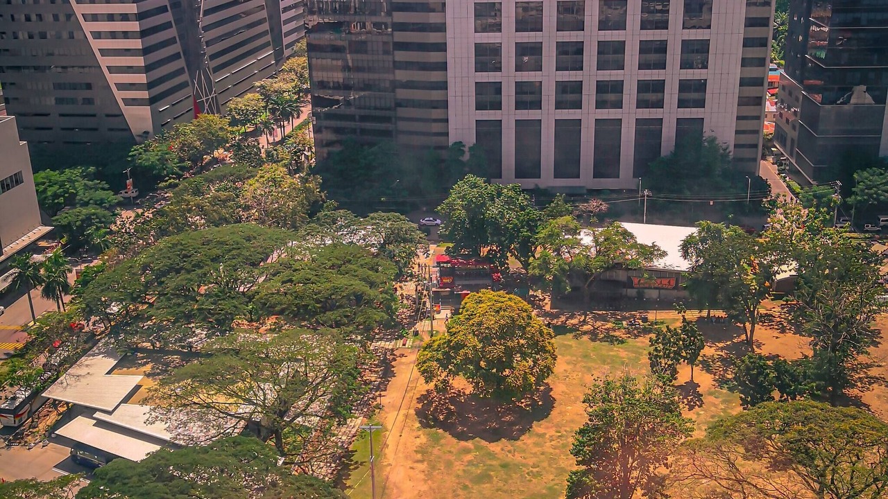Photo of Outdoor in Lahug