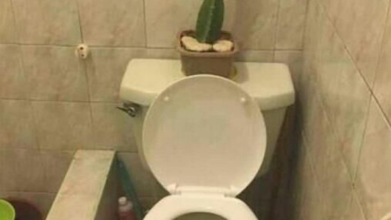 Photo of Bathroom in San Juan