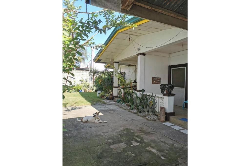 Photo of Outdoor in San Juan