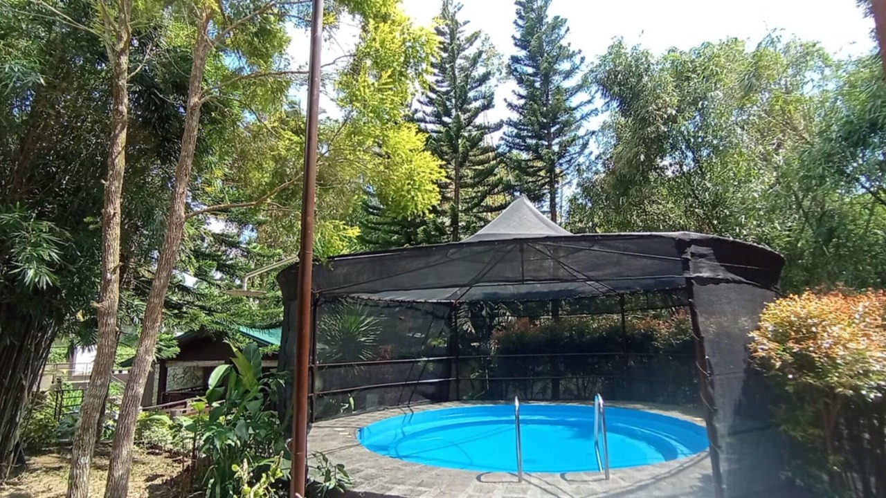 Photo of Outdoor in Mendez