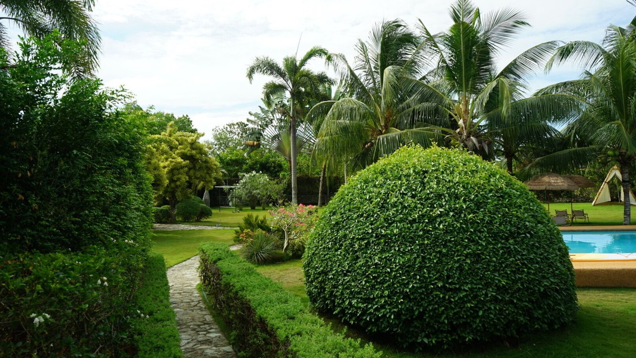 Photo of Outdoor in Danao