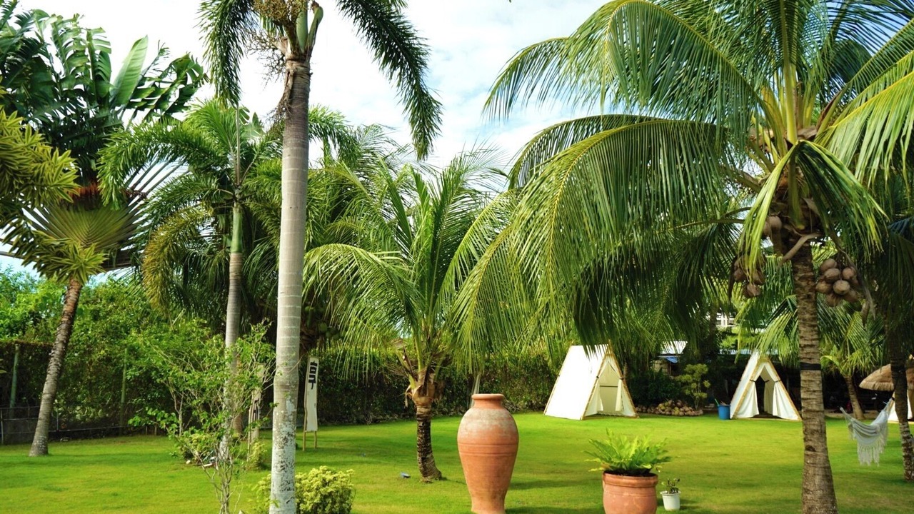 Photo of Outdoor in Danao