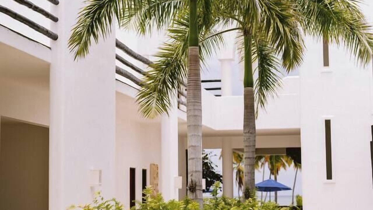 Photo of Others in Punta Cana
