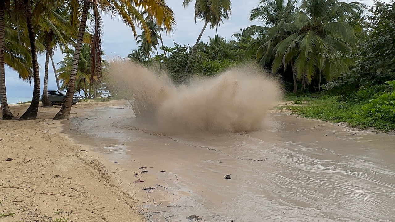 Photo of Others in Las Galeras