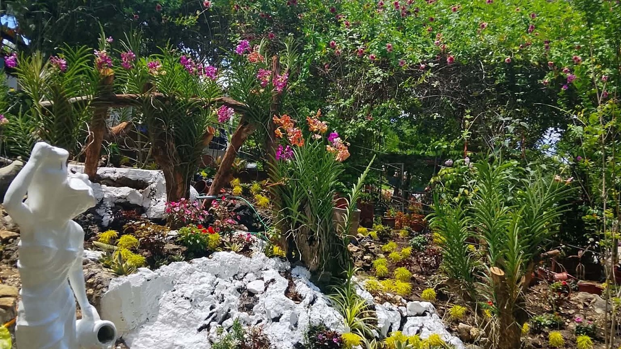 Photo of Outdoor in Sibonga