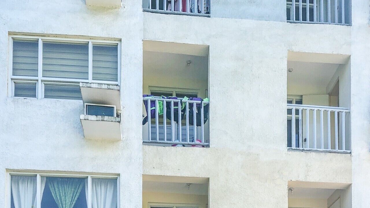 Photo of Others in Sasa