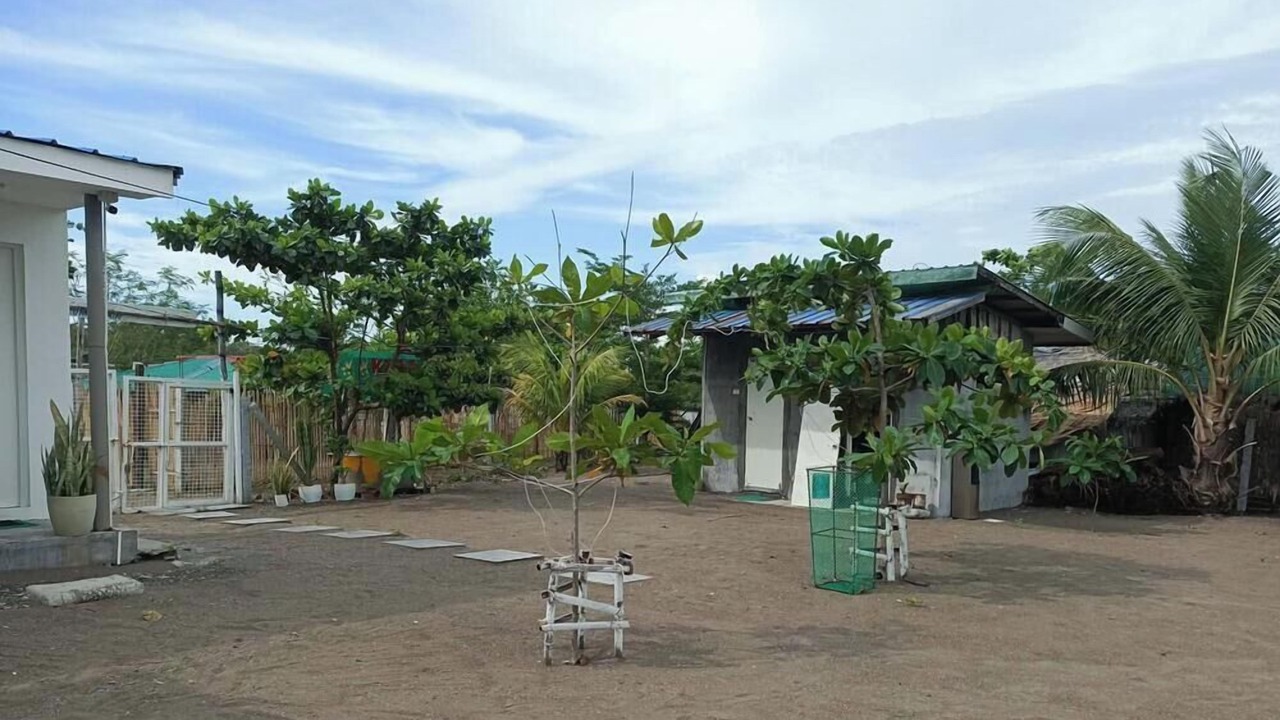 Photo of Outdoor in Palauig